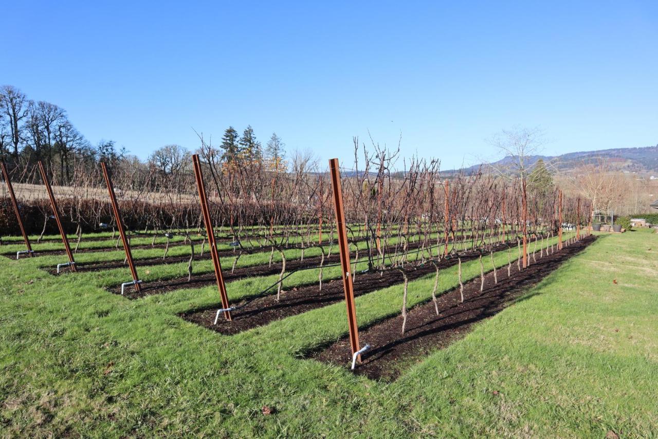 The Setting Willamette Valley Newberg