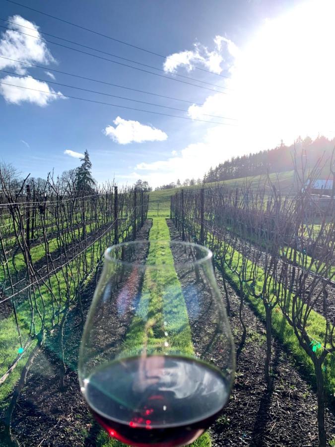 The Setting Willamette Valley Bed & Breakfast Newberg